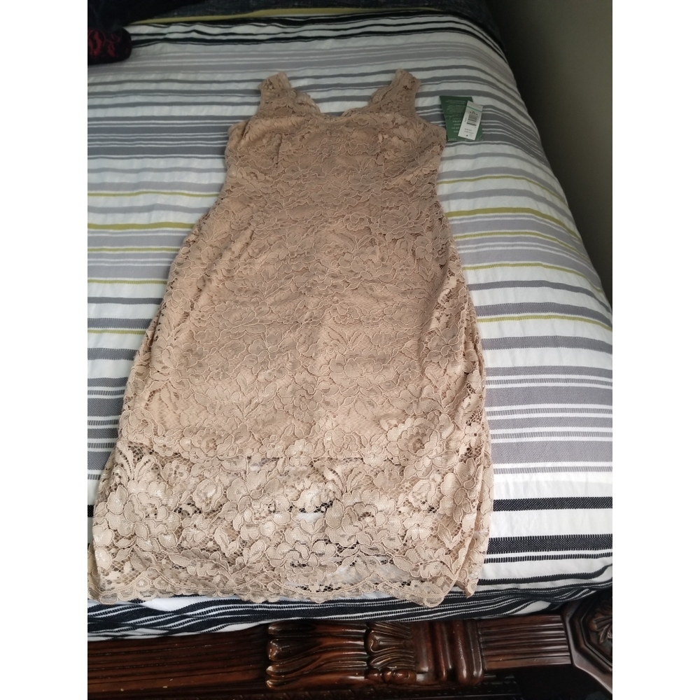Blu Sage midi lace beige dress